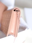 DIOR LADY POUCH ROSE DES VENTS