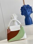 louis-vuitton-capucines-mini-bag-capucines-handbags-M59864_PM2_Front-view.png