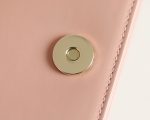 DIOR LADY POUCH ROSE DES VENTS