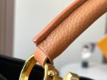 louis-vuitton-capucines-mm-capucines-handbags-M59882_PM2_Front-view-1.png