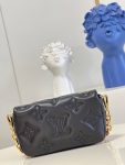 louis-vuitton-bubblegram-wallet-on-strap-bubblegram-leather-wallets-and-small-leather-goods-M81398_PM2_Front-view.png