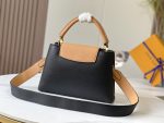 louis-vuitton-capucines-mm-capucines-handbags-M59882_PM2_Front-view-2.png
