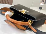 louis-vuitton-capucines-mm-capucines-handbags-M59882_PM2_Front-view-1.png