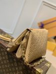 louis-vuitton-coussin-pm-h27-handbags-M57791_PM2_Front-view.png