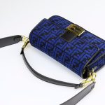 FDBAGS-1-16.png