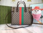 GCBAGS-1-13_f8039c83-225e-49a3-b3b9-09c8343d366a.png