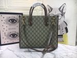 GCBAGS-1-12_bfd9bd52-7394-456b-884f-c804c743f34f.png