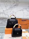 LVBAGS-1-167.png
