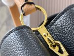 louis-vuitton-capucines-mm-capucines-handbags-M59882_PM2_Front-view-2.png