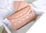 DIOR LADY POUCH ROSE DES VENTS