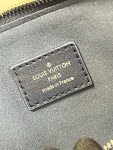 louis-vuitton-coussin-pm-bag-h27-handbags-M20379_PM2_Front-view.png