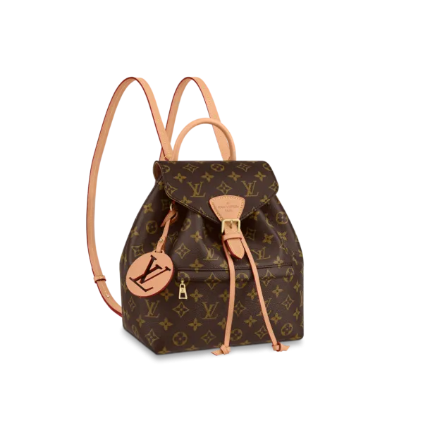 Louis Vuitton's 27cm Montsouris PM Backpack