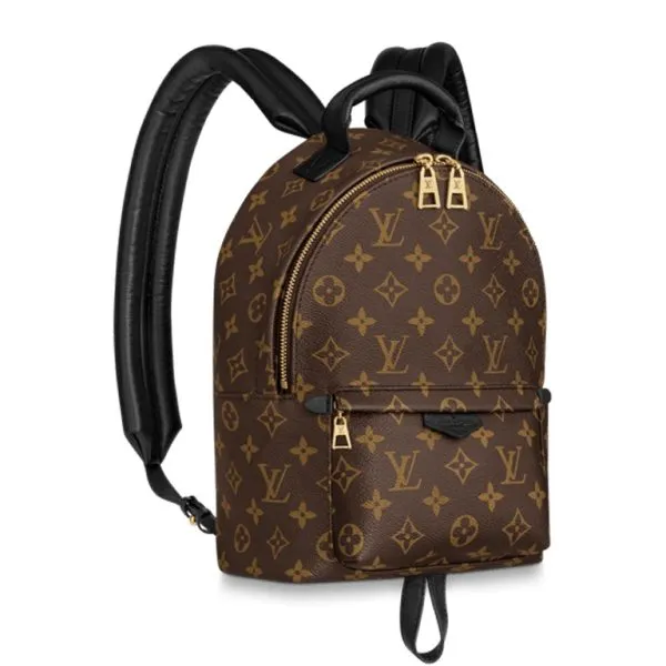 Louis Vuitton Palm Springs PM 29cm
