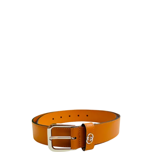 Gucci Brown Belt With Square Buckle And Interlocking G Silver Meatl 35mm