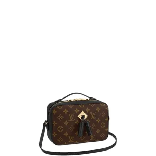 Louis Vuitton Saintong Monogram Canvas Black 22cm