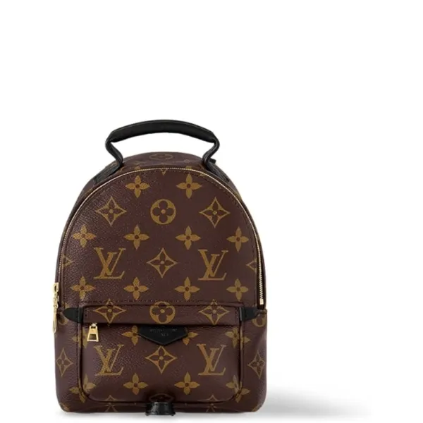 Louis Vuitton 17cm Palms Springs Mini Backpack M44873