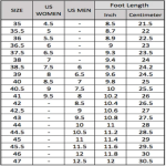 6vl5djQ_9763adfd-7ae3-48d1-9550-4557cd44b218.png