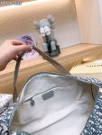DIOR-40CM-GRAY-OBLIQUE-HOLDALL-TRAVEL-DUFFLE-BAG.jpg