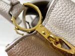 LOUIS-VUITTON-CAPUCINES-GRAY.jpg