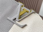 LOUIS-VUITTON-CAPUCINES-GRAY.jpg