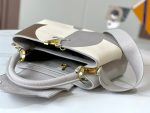 LOUIS-VUITTON-CAPUCINES-GRAY.jpg